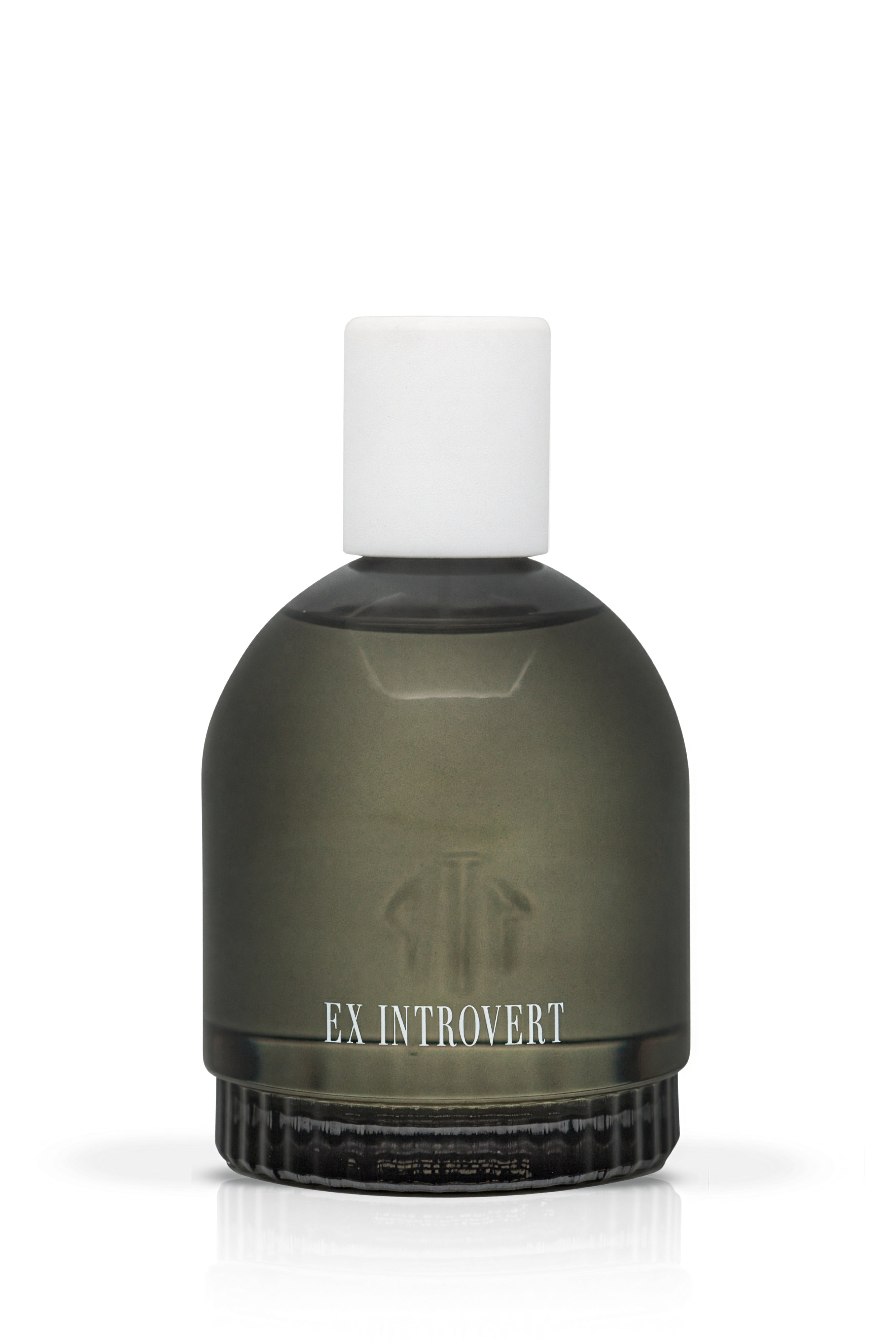 EX INTROVERT