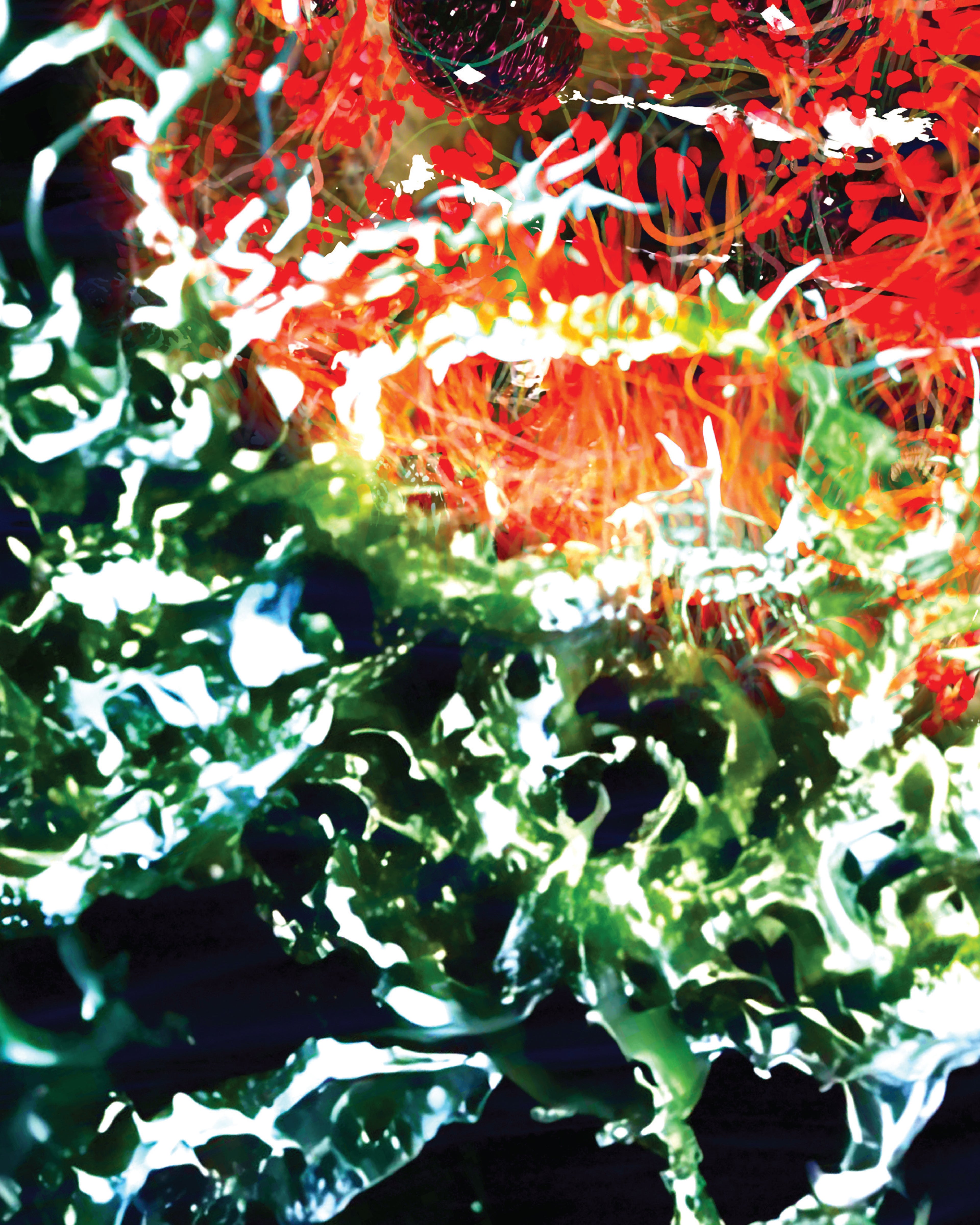 EXIT THROUGH THE WINDOW