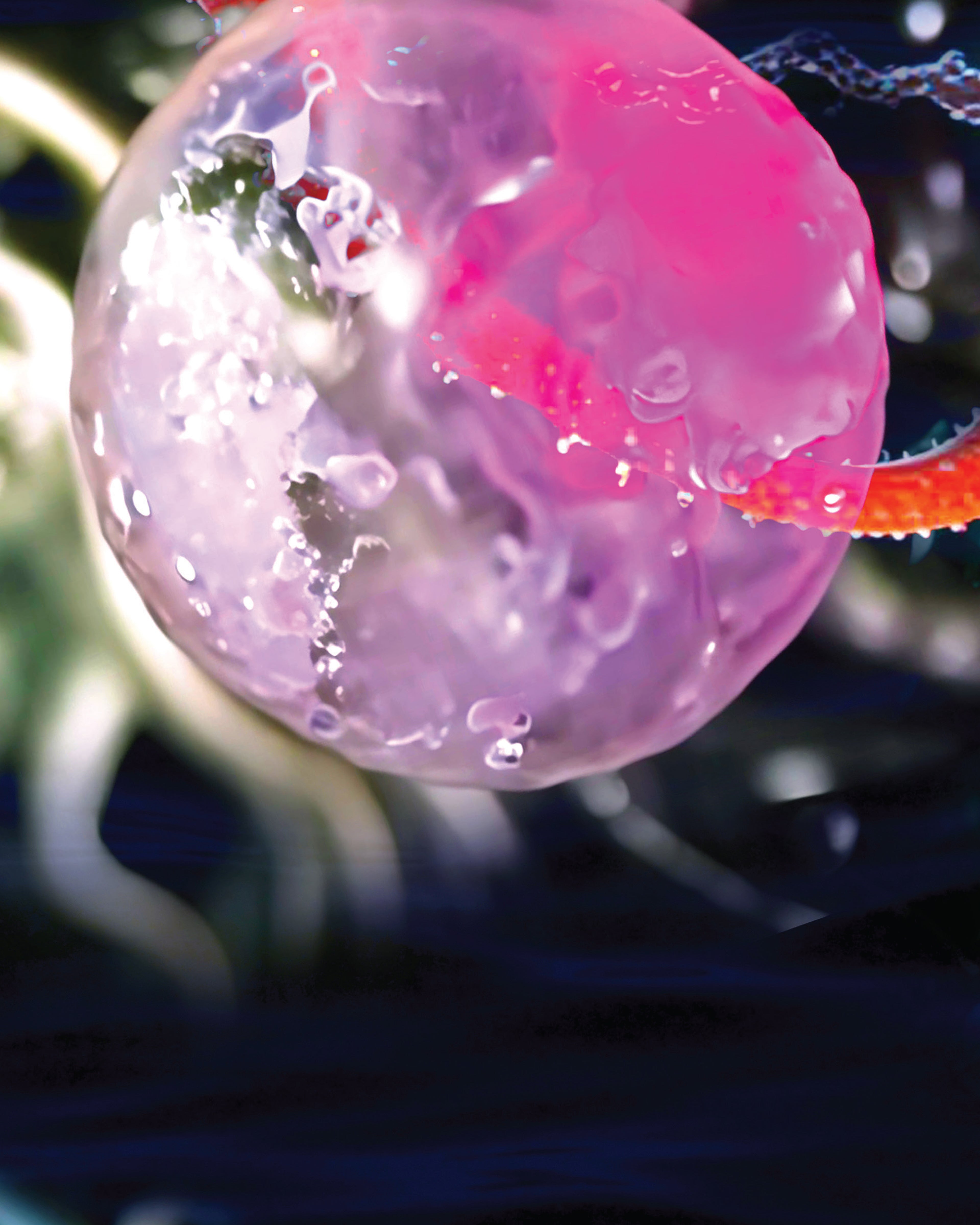 GLITTER BOMB, READY, FIRE